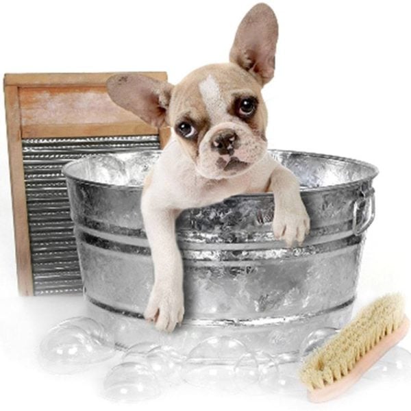 Hundeseife Kleiner Stinker – Bild 2