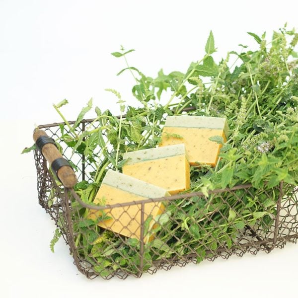 Minze-Limette Naturseife – Bild 4