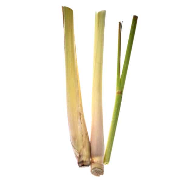 Lemongrass Naturseife – Bild 3