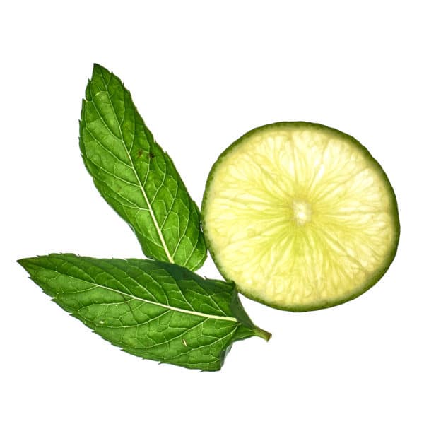 Minze-Limette Naturseife – Bild 3